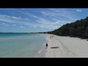 Strand Port d’Alcúdia, Mallorca – YouTube