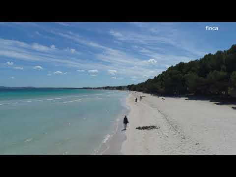 Strand Port d’Alcúdia, Mallorca – YouTube